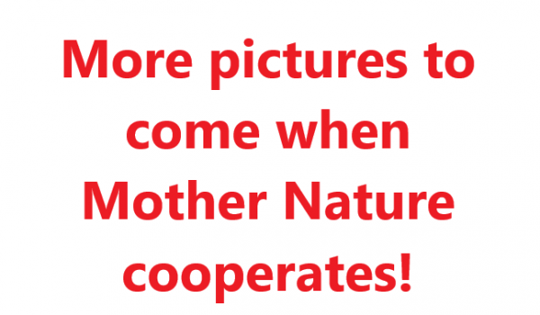 Dundee Vol Fire Dept